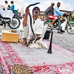 maroc-tapis-homme-serpent-dresseur